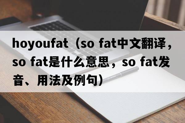 hoyoufat（so fat中文翻譯，so fat是什么意思，so fat發(fā)音、用法及例句）