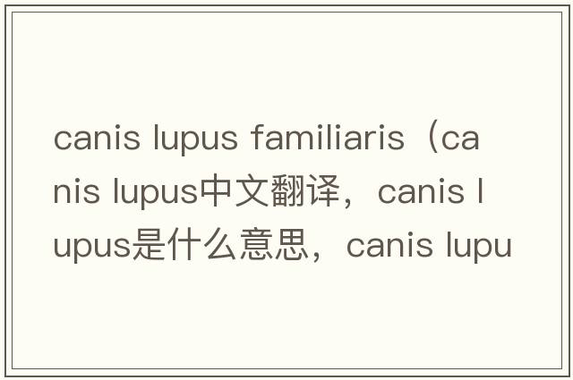 canis lupus familiaris（canis lupus中文翻譯，canis lupus是什么意思，canis lupus發(fā)音、用法及例句）