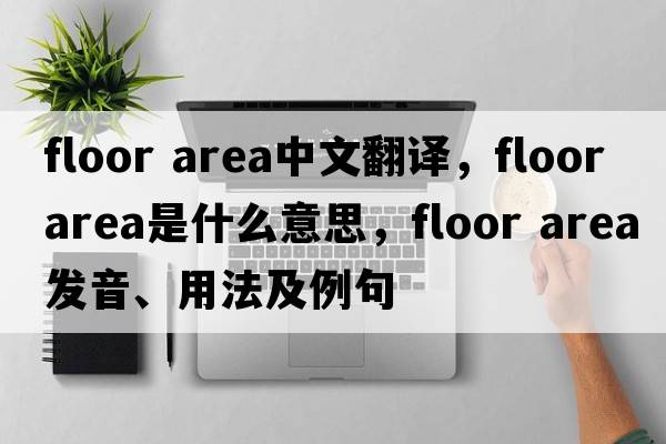 floor area中文翻譯，floor area是什么意思，floor area發(fā)音、用法及例句