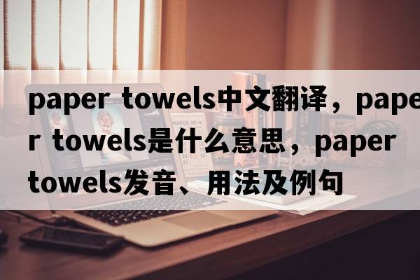 paper towels中文翻譯，paper towels是什么意思，paper towels發(fā)音、用法及例句