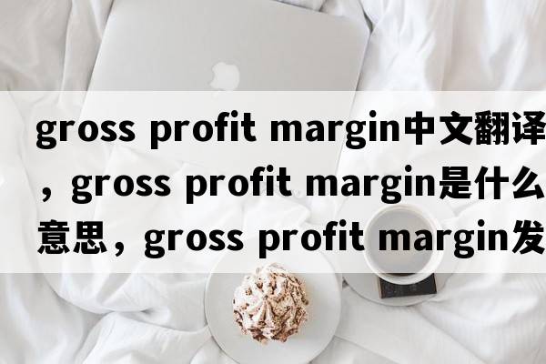 gross profit margin中文翻譯，gross profit margin是什么意思，gross profit margin發(fā)音、用法及例句