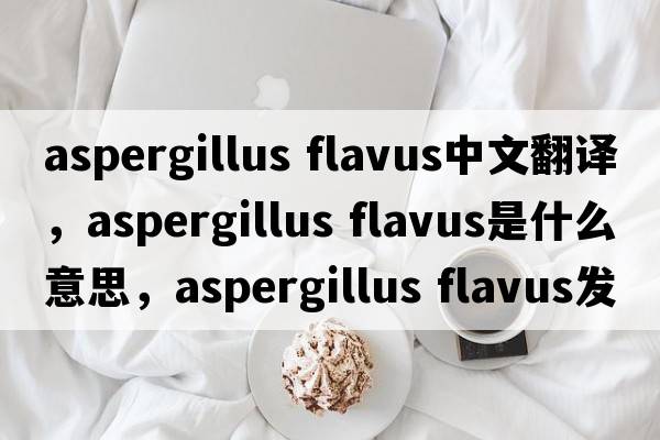 aspergillus flavus中文翻譯，aspergillus flavus是什么意思，aspergillus flavus發(fā)音、用法及例句