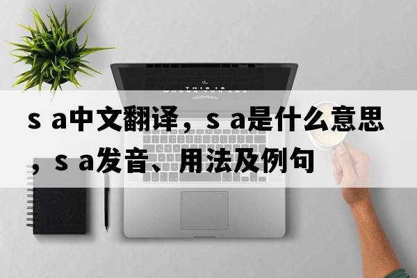 s a中文翻譯，s a是什么意思，s a發(fā)音、用法及例句