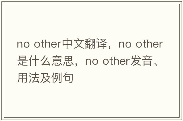 no other中文翻譯，no other是什么意思，no other發(fā)音、用法及例句