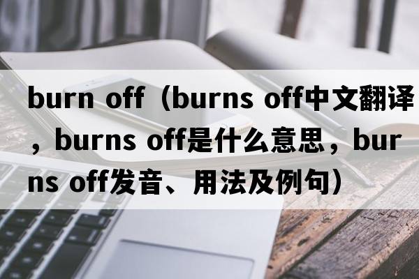 burn off（burns off中文翻譯，burns off是什么意思，burns off發(fā)音、用法及例句）