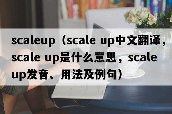 scaleup（scale up中文翻譯，scale up是什么意思，scale up發(fā)音、用法及例句）