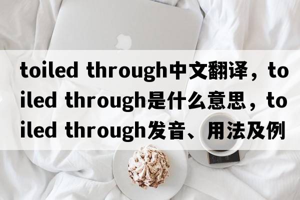 toiled through中文翻譯，toiled through是什么意思，toiled through發(fā)音、用法及例句