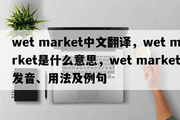 wet market中文翻譯，wet market是什么意思，wet market發(fā)音、用法及例句