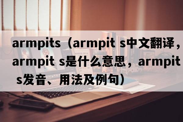 armpits（armpit s中文翻譯，armpit s是什么意思，armpit s發(fā)音、用法及例句）