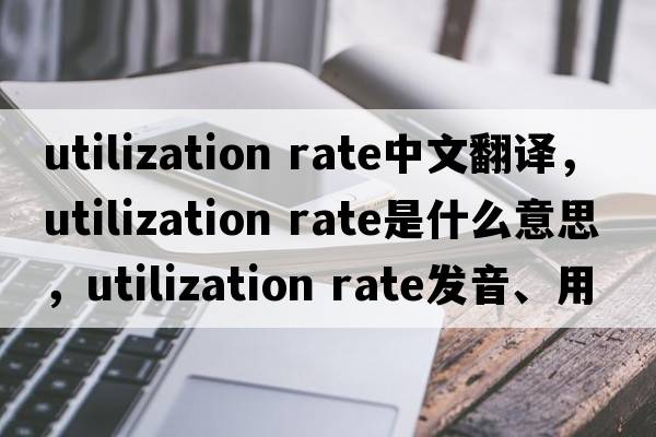utilization rate中文翻譯，utilization rate是什么意思，utilization rate發(fā)音、用法及例句