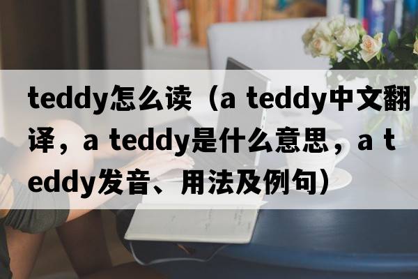 teddy怎么讀（a teddy中文翻譯，a teddy是什么意思，a teddy發(fā)音、用法及例句）
