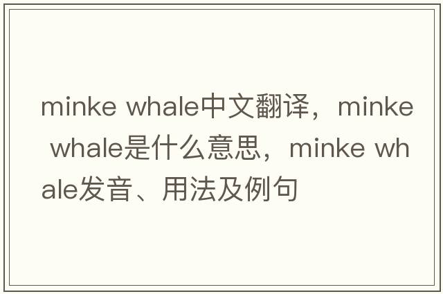 minke whale中文翻譯，minke whale是什么意思，minke whale發(fā)音、用法及例句