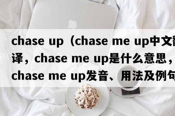 chase up（chase me up中文翻譯，chase me up是什么意思，chase me up發(fā)音、用法及例句）