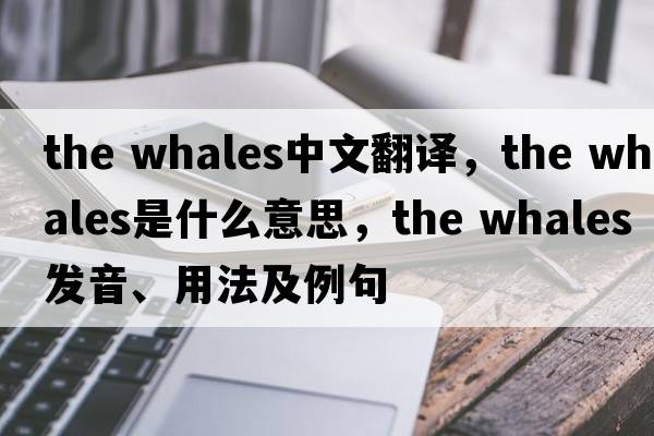 the whales中文翻譯，the whales是什么意思，the whales發(fā)音、用法及例句