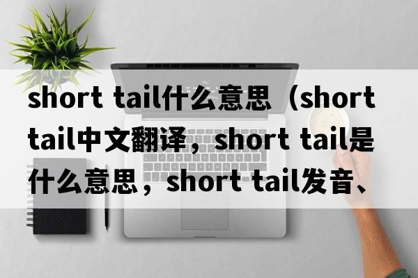 short tail什么意思（short tail中文翻譯，short tail是什么意思，short tail發(fā)音、用法及例句）
