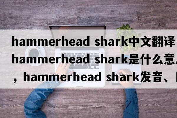 hammerhead shark中文翻譯，hammerhead shark是什么意思，hammerhead shark發(fā)音、用法及例句