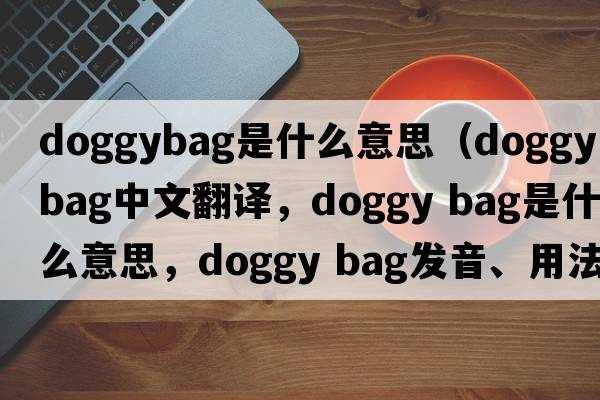 doggybag是什么意思（doggy bag中文翻譯，doggy bag是什么意思，doggy bag發(fā)音、用法及例句）