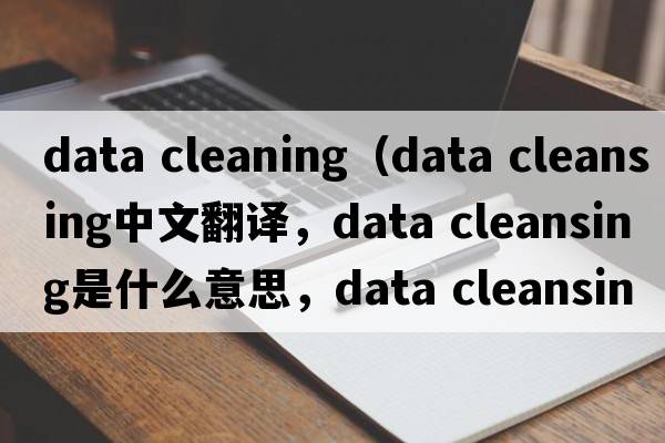 data cleaning（data cleansing中文翻譯，data cleansing是什么意思，data cleansing發(fā)音、用法及例句）