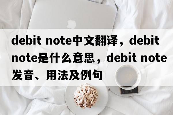 debit note中文翻譯，debit note是什么意思，debit note發(fā)音、用法及例句