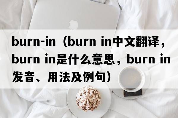 burn-in（burn in中文翻譯，burn in是什么意思，burn in發(fā)音、用法及例句）