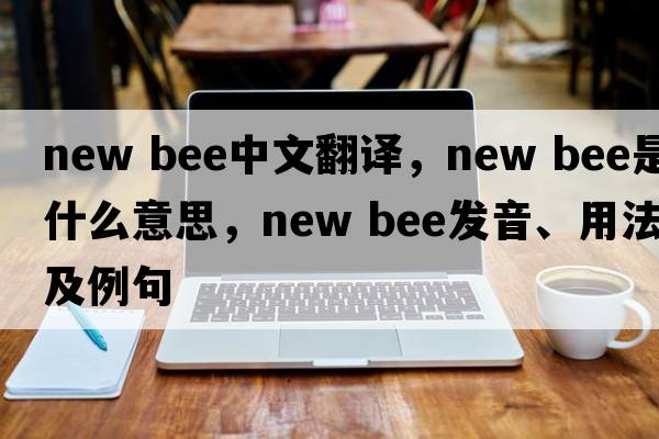 new bee中文翻譯，new bee是什么意思，new bee發(fā)音、用法及例句