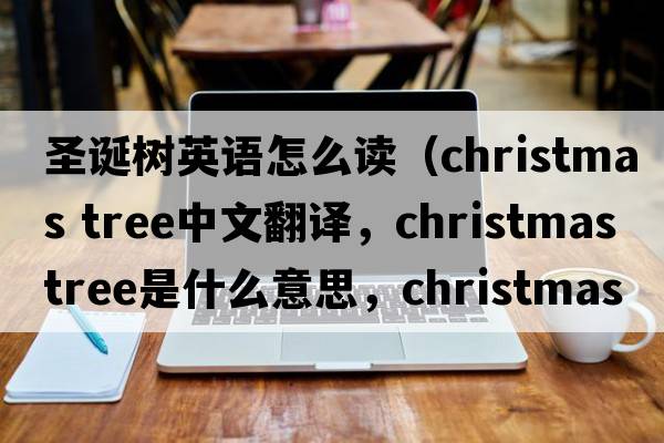 圣誕樹英語怎么讀（christmas tree中文翻譯，christmas tree是什么意思，christmas tree發(fā)音、用法及例句）