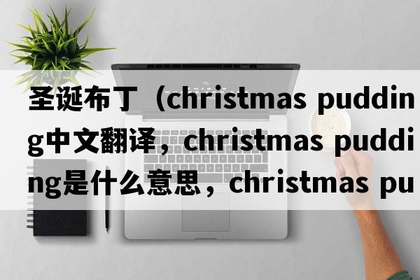 圣誕布?。╟hristmas pudding中文翻譯，christmas pudding是什么意思，christmas pudding發(fā)音、用法及例句）