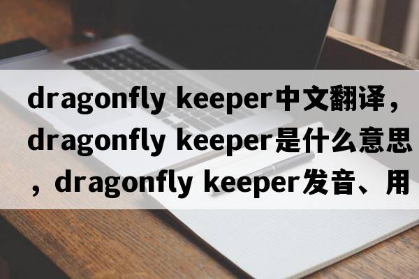 dragonfly keeper中文翻譯，dragonfly keeper是什么意思，dragonfly keeper發(fā)音、用法及例句