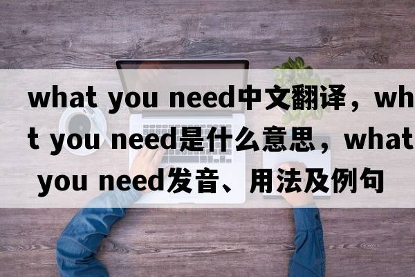 what you need中文翻譯，what you need是什么意思，what you need發(fā)音、用法及例句