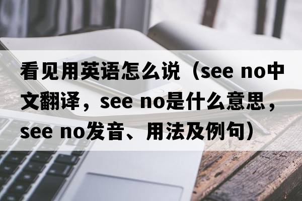 看見(jiàn)用英語(yǔ)怎么說(shuō)（see no中文翻譯，see no是什么意思，see no發(fā)音、用法及例句）