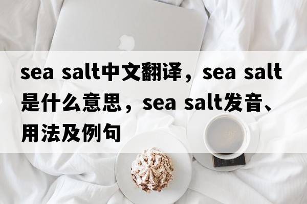 sea salt中文翻譯，sea salt是什么意思，sea salt發(fā)音、用法及例句