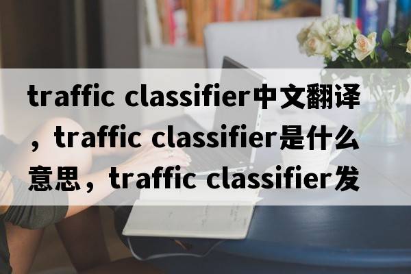 traffic classifier中文翻譯，traffic classifier是什么意思，traffic classifier發(fā)音、用法及例句