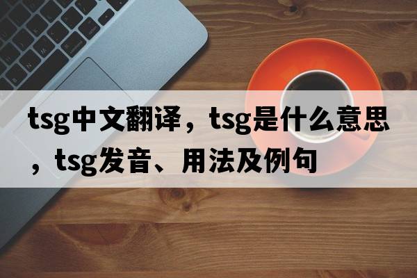 tsg中文翻譯，tsg是什么意思，tsg發(fā)音、用法及例句