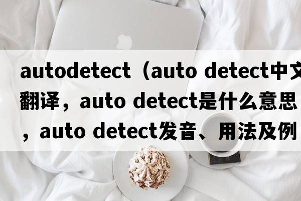 autodetect（auto detect中文翻譯，auto detect是什么意思，auto detect發(fā)音、用法及例句）