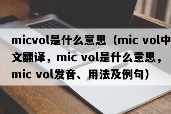 micvol是什么意思（mic vol中文翻譯，mic vol是什么意思，mic vol發(fā)音、用法及例句）