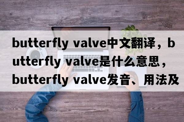 butterfly valve中文翻譯，butterfly valve是什么意思，butterfly valve發(fā)音、用法及例句