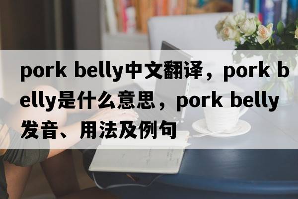 pork belly中文翻譯，pork belly是什么意思，pork belly發(fā)音、用法及例句