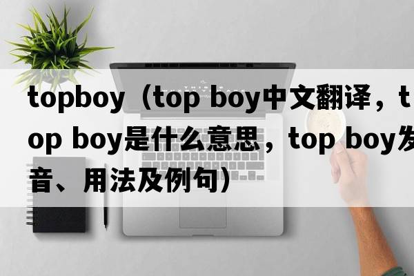 topboy（top boy中文翻譯，top boy是什么意思，top boy發(fā)音、用法及例句）