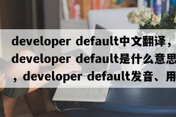 developer default中文翻譯，developer default是什么意思，developer default發(fā)音、用法及例句