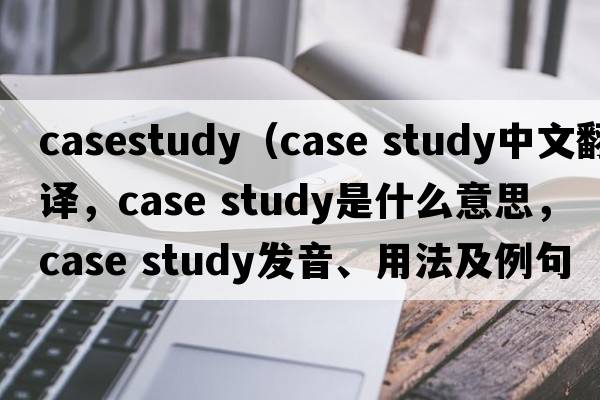 casestudy（case study中文翻譯，case study是什么意思，case study發(fā)音、用法及例句）
