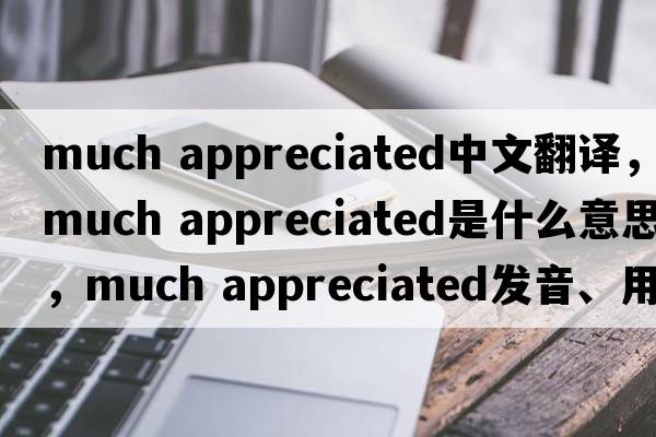 much appreciated中文翻譯，much appreciated是什么意思，much appreciated發(fā)音、用法及例句