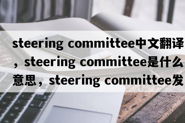 steering committee中文翻譯，steering committee是什么意思，steering committee發(fā)音、用法及例句