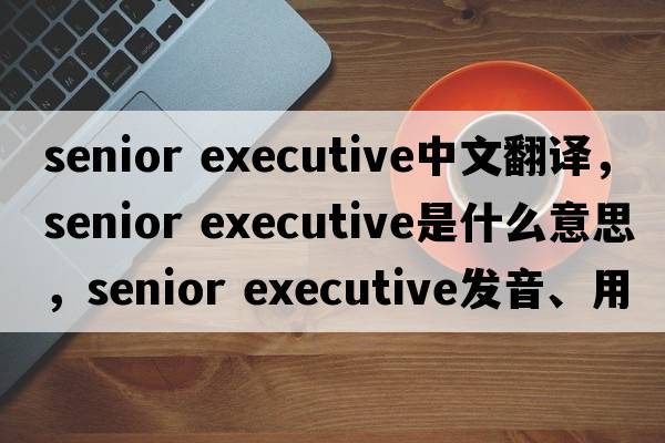 senior executive中文翻譯，senior executive是什么意思，senior executive發(fā)音、用法及例句