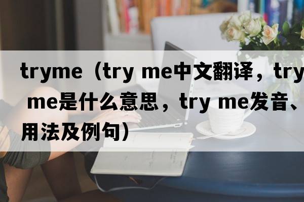 tryme（try me中文翻譯，try me是什么意思，try me發(fā)音、用法及例句）