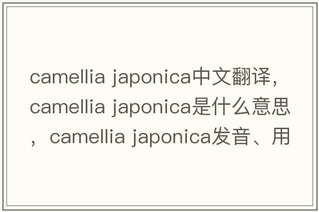 camellia japonica中文翻譯，camellia japonica是什么意思，camellia japonica發(fā)音、用法及例句