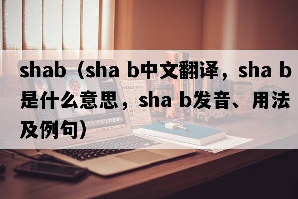 shab（sha b中文翻譯，sha b是什么意思，sha b發(fā)音、用法及例句）