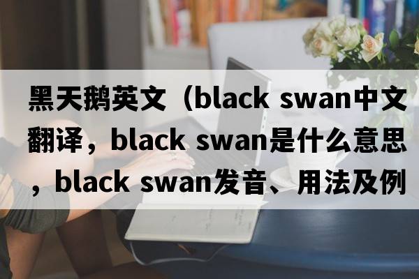 黑天鵝英文（Black swan中文翻譯，Black swan是什么意思，Black swan發(fā)音、用法及例句）