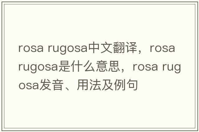 rosa rugosa中文翻譯，rosa rugosa是什么意思，rosa rugosa發(fā)音、用法及例句