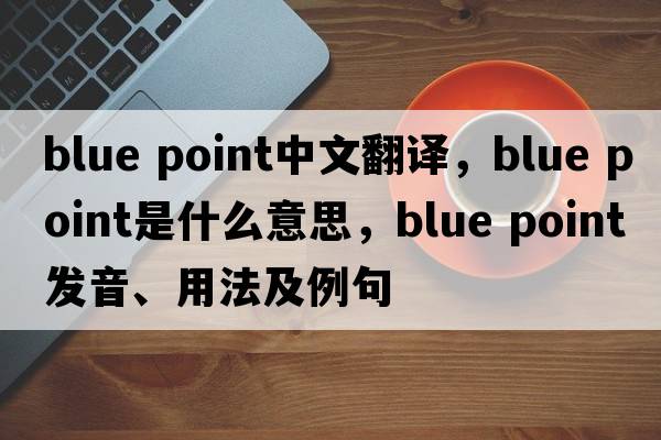 blue point中文翻譯，blue point是什么意思，blue point發(fā)音、用法及例句