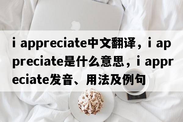 i appreciate中文翻譯，i appreciate是什么意思，i appreciate發(fā)音、用法及例句